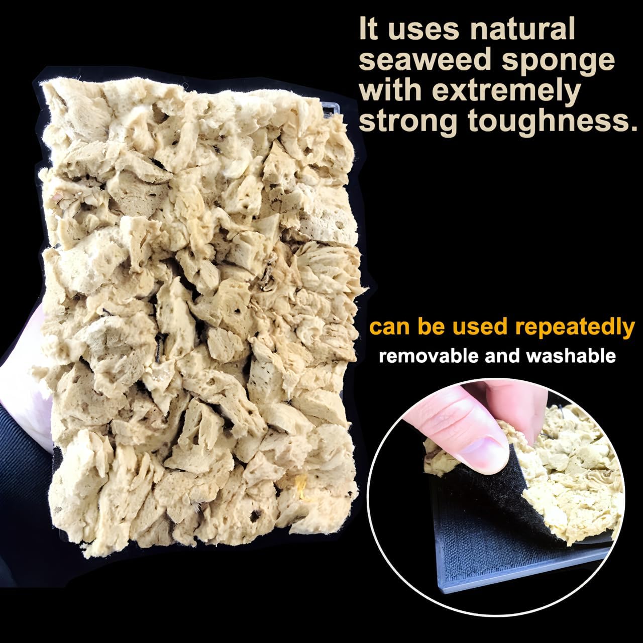 Natural Sea Sponge Daubers for Wall Texture Painting - Reusable Texturing Tool for Intricate Patterns, Professional & DIY Home Renovation Art Paint Projects (BC018-M)