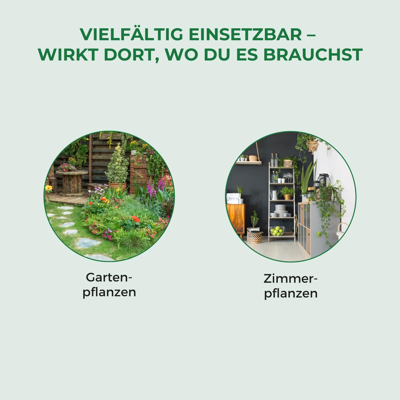 Bioflor Palmen & Grnpflanzenerde Premium 10 L I Blumenerde fr gesunde  Palmen & Grnpflanzen I speziell abgestimmte Erde fr Palmen & Grnpflanzen  I Garten- & Zimmerpflanzen-Erde : Amazon.de: Garten