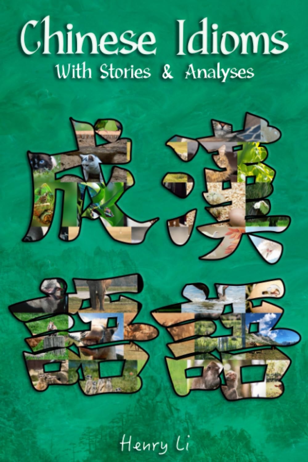 Chinese Idioms: With Stories & Analyses