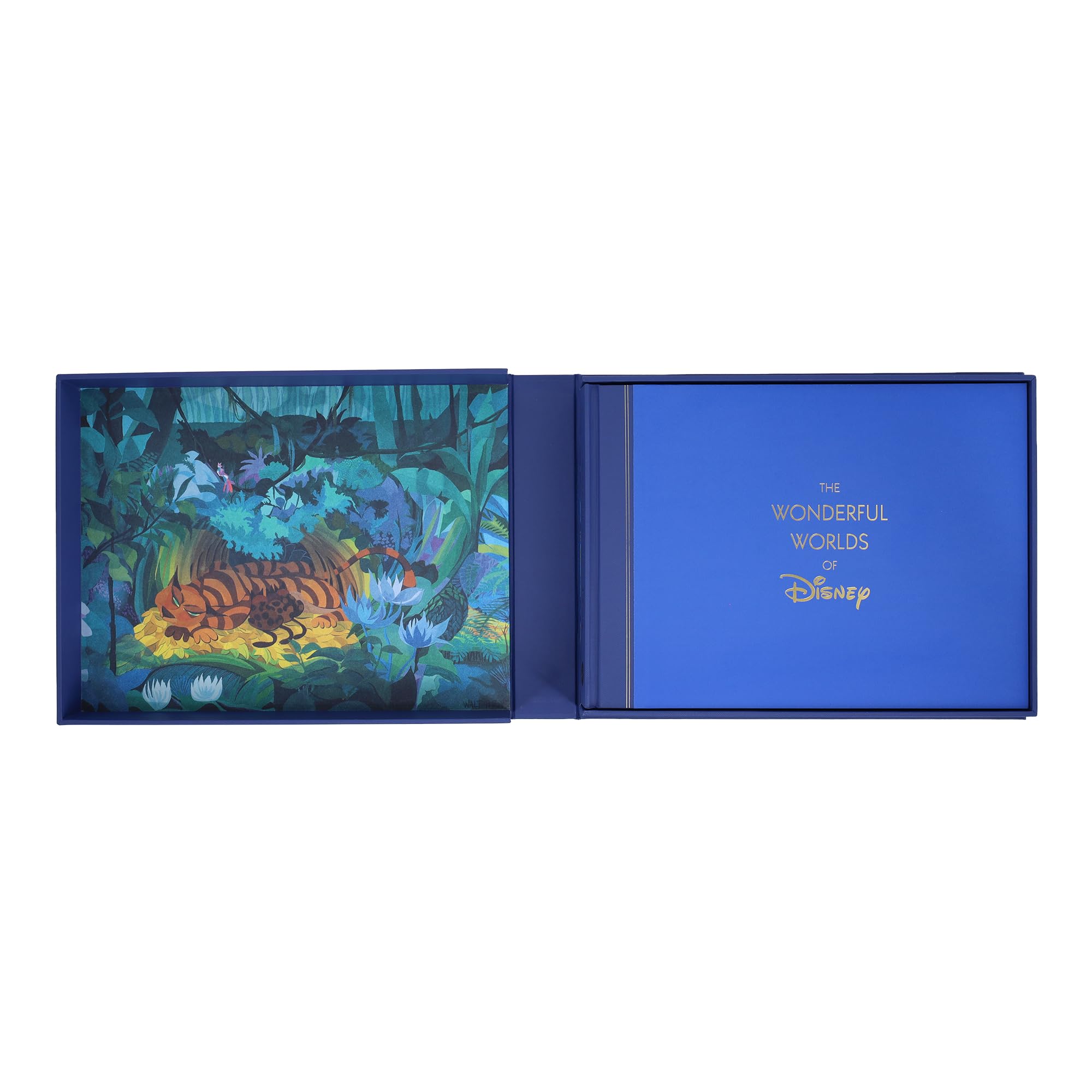 Disney The Wonderful Worlds of Disney: The Scenic Art of Walt Disney Animation Studios
