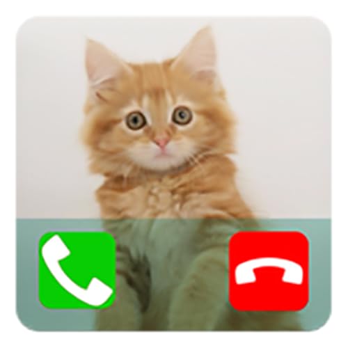 Fake Call From Cat Prank ( Funny Calling Prank From Pet )
