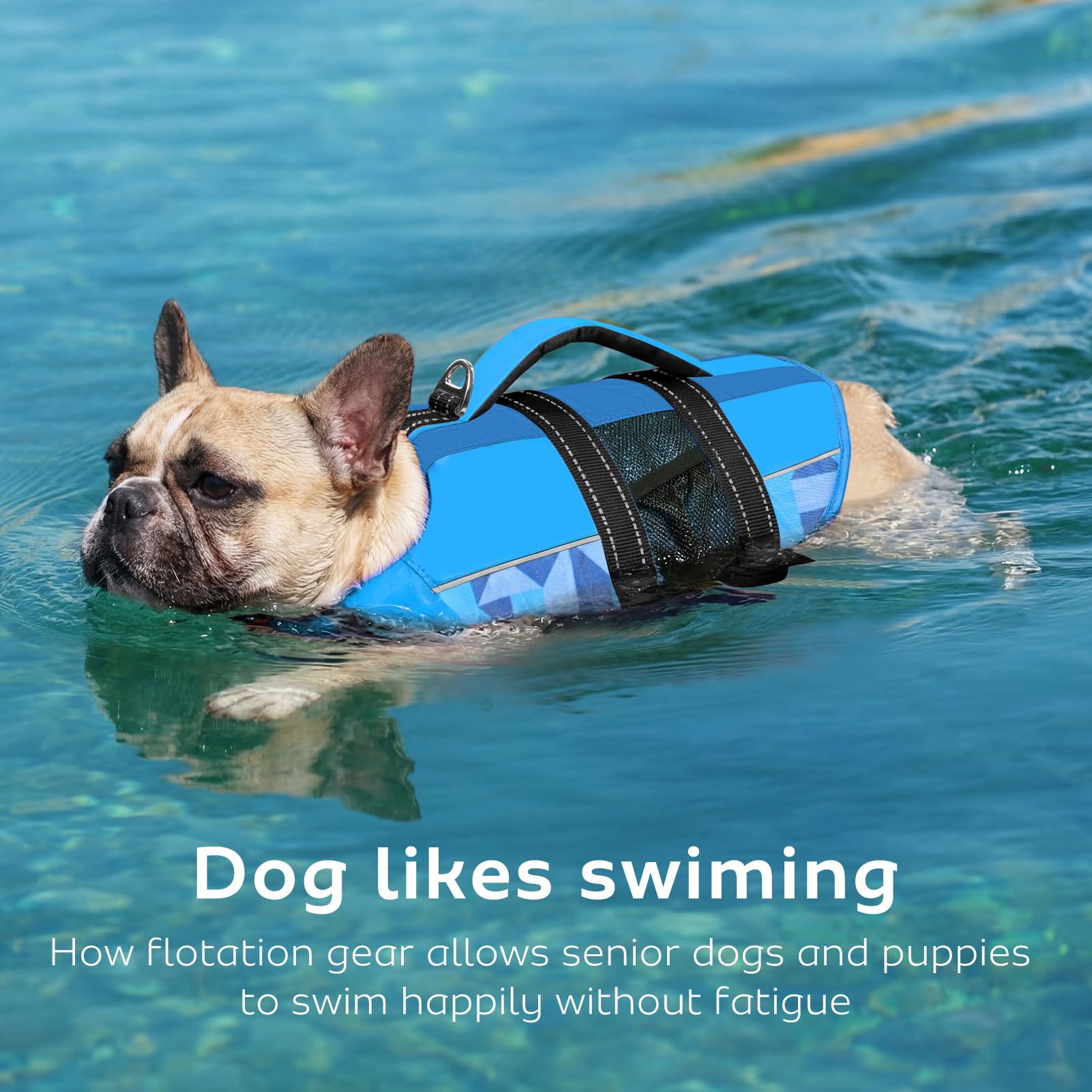 CITÉTOILE Giubbotti di Salvataggio per Cani, Regolabile Salvagente per Animali con Manico, Costume da Bagno di Sicurezza in Acqua per la Vela in Piscina Sulla Spiaggia, Blu, M