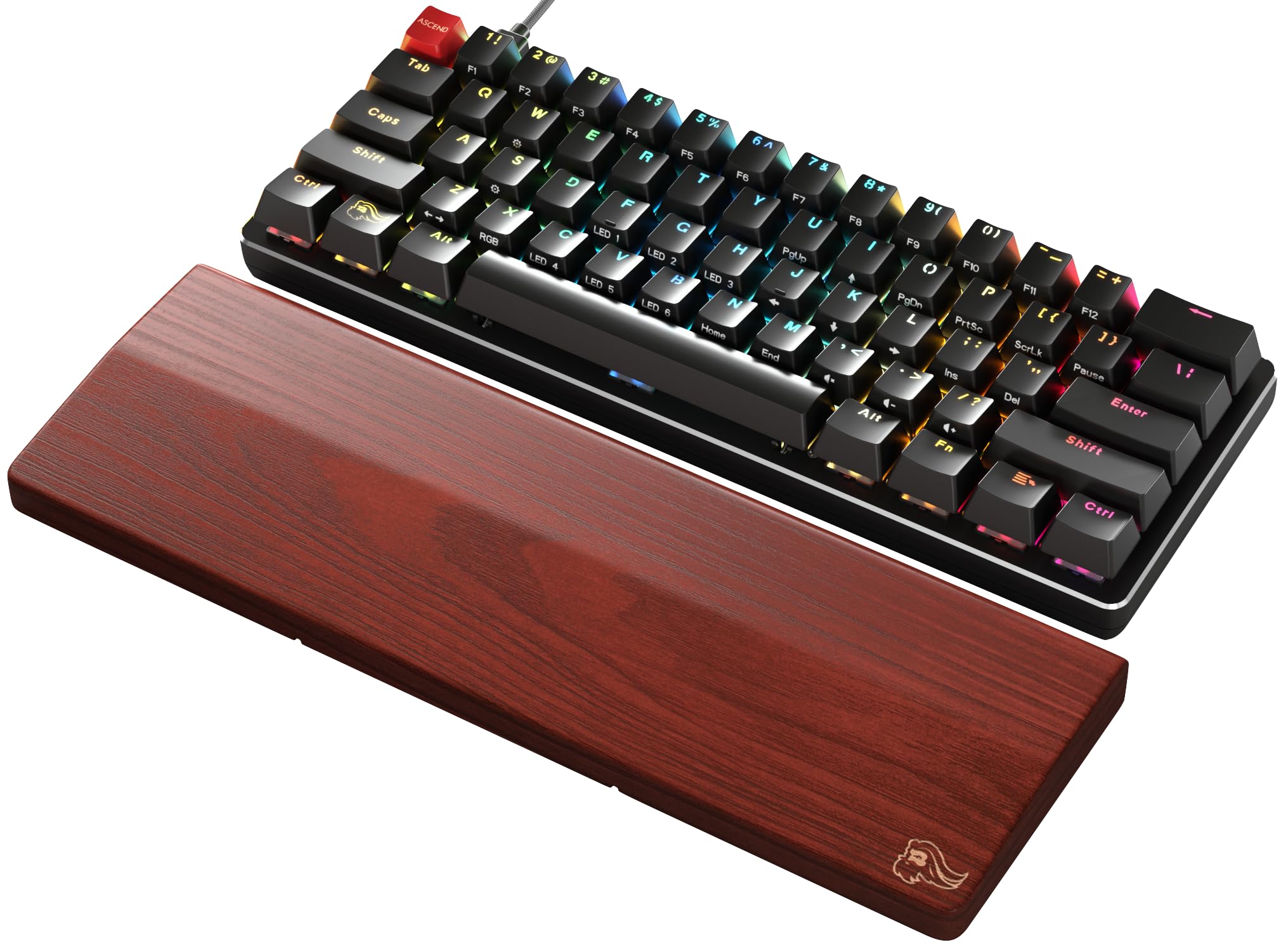 Glorious Gaming Reposamuñecas de madera para teclado (compacto) - Fresno blanco, superficie lisa, antisudor y antisuciedad, base de goma antideslizante, 300 x 100 x 19 mm - Roble dorado