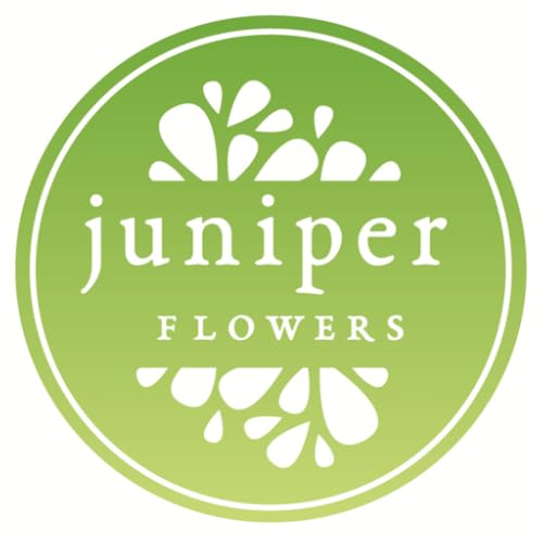 Juniper Flowers - //medicalbooks.filipinodoctors.org