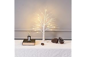 2FT 24LT Led Lighted Birch Tree: Your Mini Holiday Magic