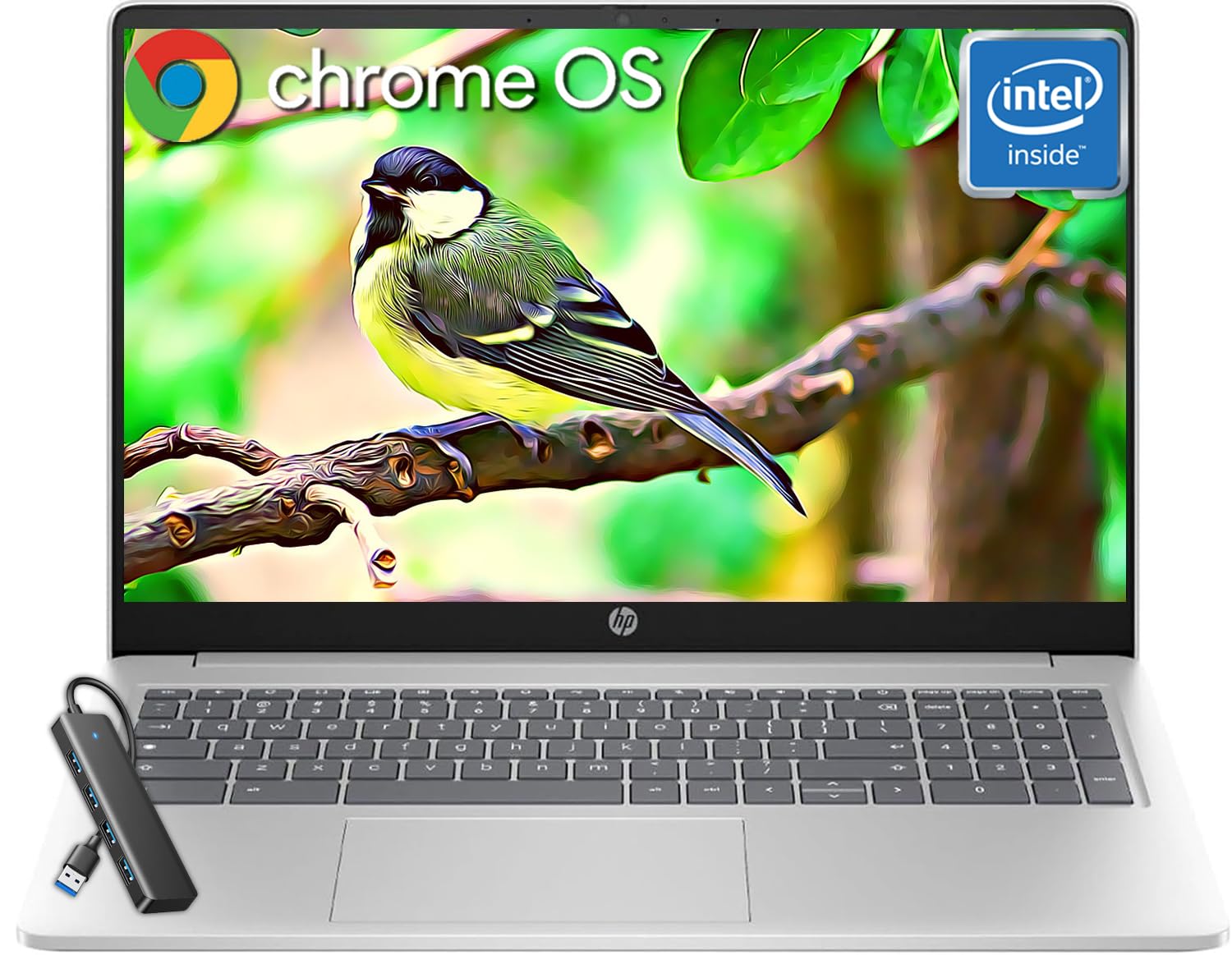 HP Chromebook 15.6" Laptop for Student & Business, 15.6 inch HD Display, 8 GB RAM, 192 GB Storage (64 GB eMMC + 128 GB MicroSD), Intel Quad-Core