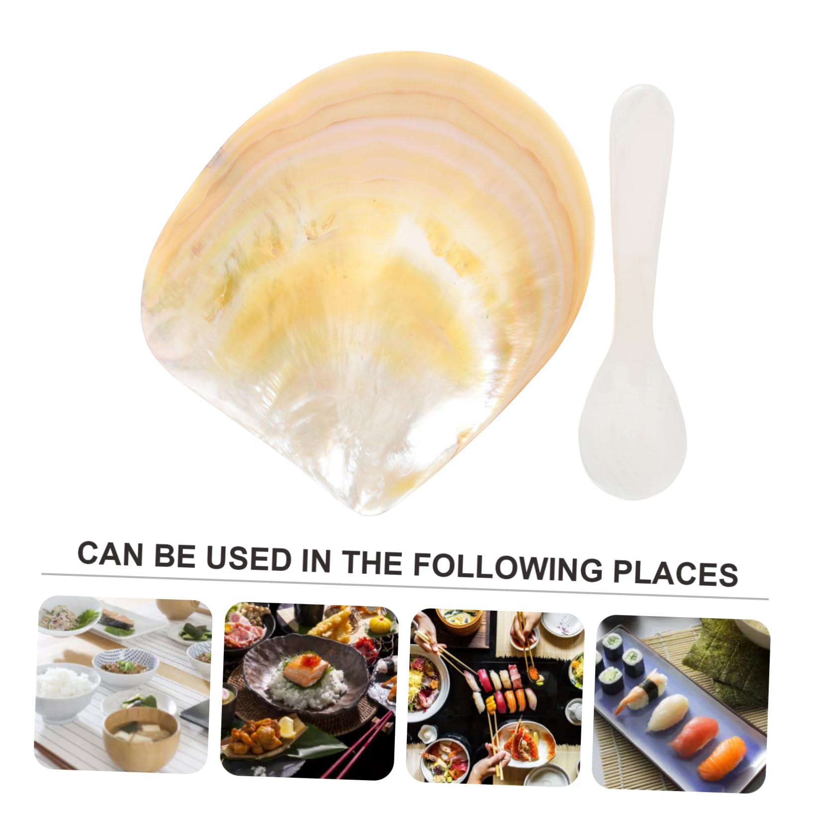 KICHOUSE 3sets Glossy Shell Caviar Dish Spoon Natural Decorative Holder for Fish Tank Home Decor and Photography Prop Smooth Finish Unique Ocean-inspired Adornment Random Color
