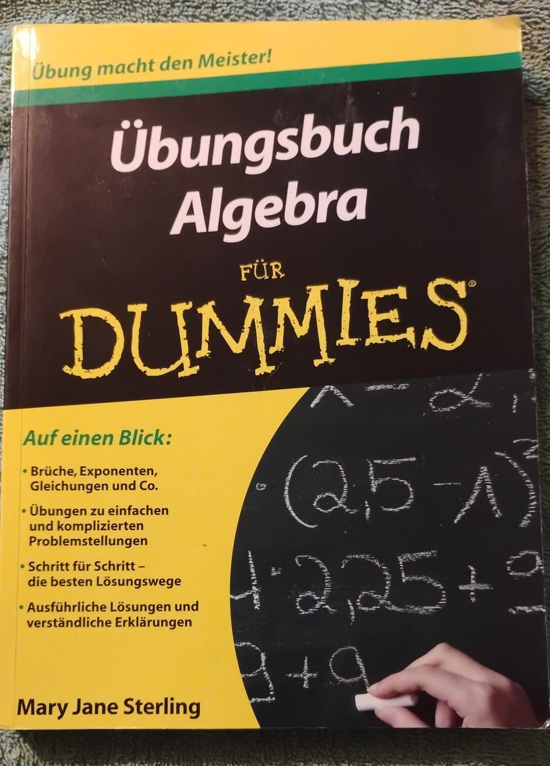 Übungsbuch Algebra für Dummies: Auf einen Blick: Brüche, Exponenten, Gleichungen und Co. Übungen zu einfachen und komplizierten Problemstellungen. ... Lösungen und verständliche Erklärungen