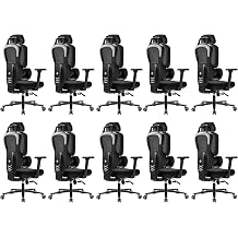 EUREKA ERGONOMIC Typhon Gaming Chair, Ergonomic Office Chair, Home Office Desk Chairs, Gaming Chairs for Adults, Mesh Office Chair, Adjustable Armrest Headrest, High Back, BlackGreyPack of 10