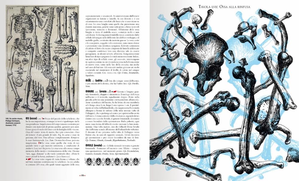 Dizionario folle del corpo. Ediz. a colori