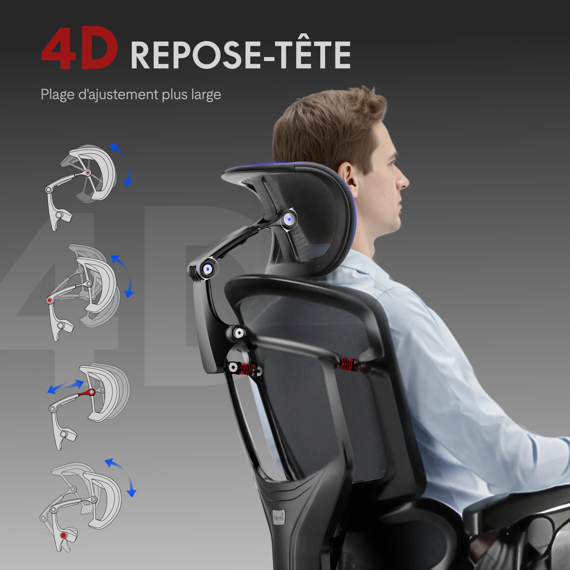 FLEXISPOT ErgoX Pro Chaise Bureau avec Repose-Pieds, Charge 250kg