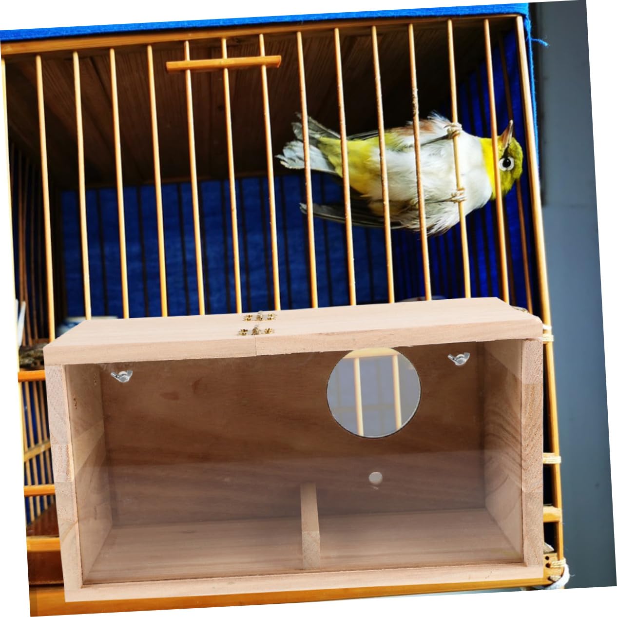 WOONEKY Caja Nido para Pájaros de Madera y Acrílico Transparente Resistente la Intemperie para Cría de Periquitos Ninfas Agapornis y Aves Pequeñas Fácil de Instalar y Limpiar