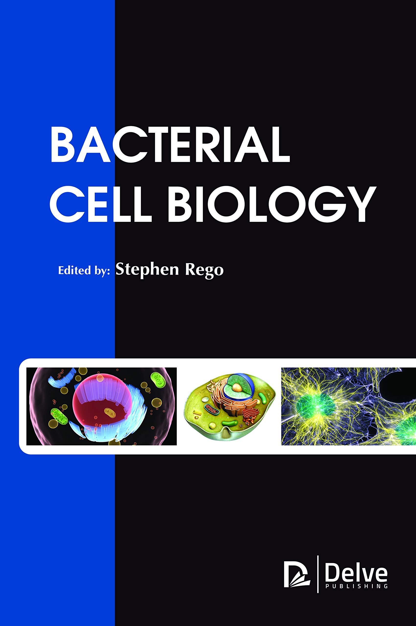 Buy Bacterial Cell Biology — BookShops.in