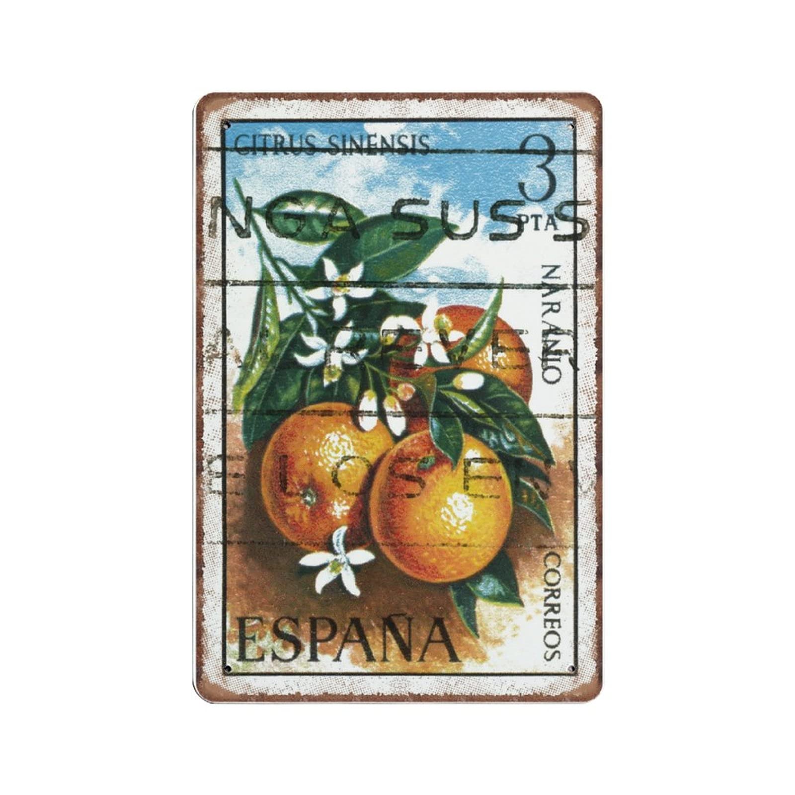 Daiercy Material_tin 6 Spanish Art Botanical Tin Signs, Food Art And Fruit Art Funny Vintage Metal Sign Plaqu Poster Wall Art Pub Bar Kitchen Garden Bathroom Home Decor, 20X30 Cm