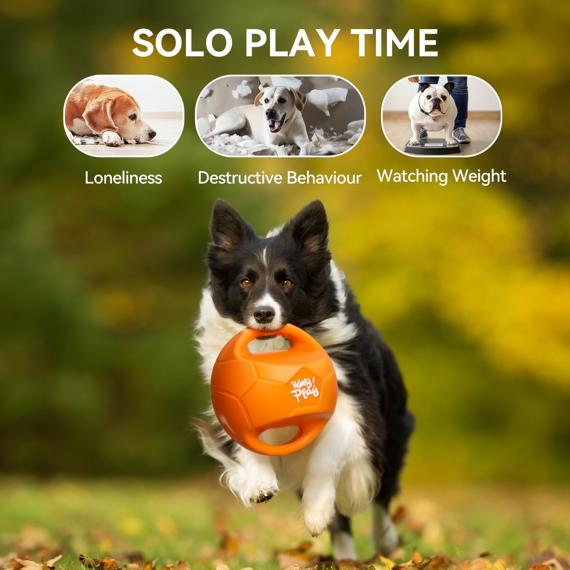 ALL FOR PAWS Hundeballspielzeug für mittelgroße & große Hunde, Hundebälle zum Tauziehen & Apportieren, Apportierspielzeug mit Griffen und Kicher-Quietscher, Orange