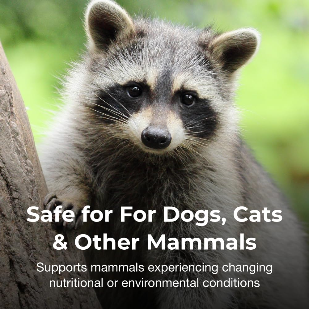 Bene-Bac Plus Prebiotic Pet Powder, 4-1/2-Ounce