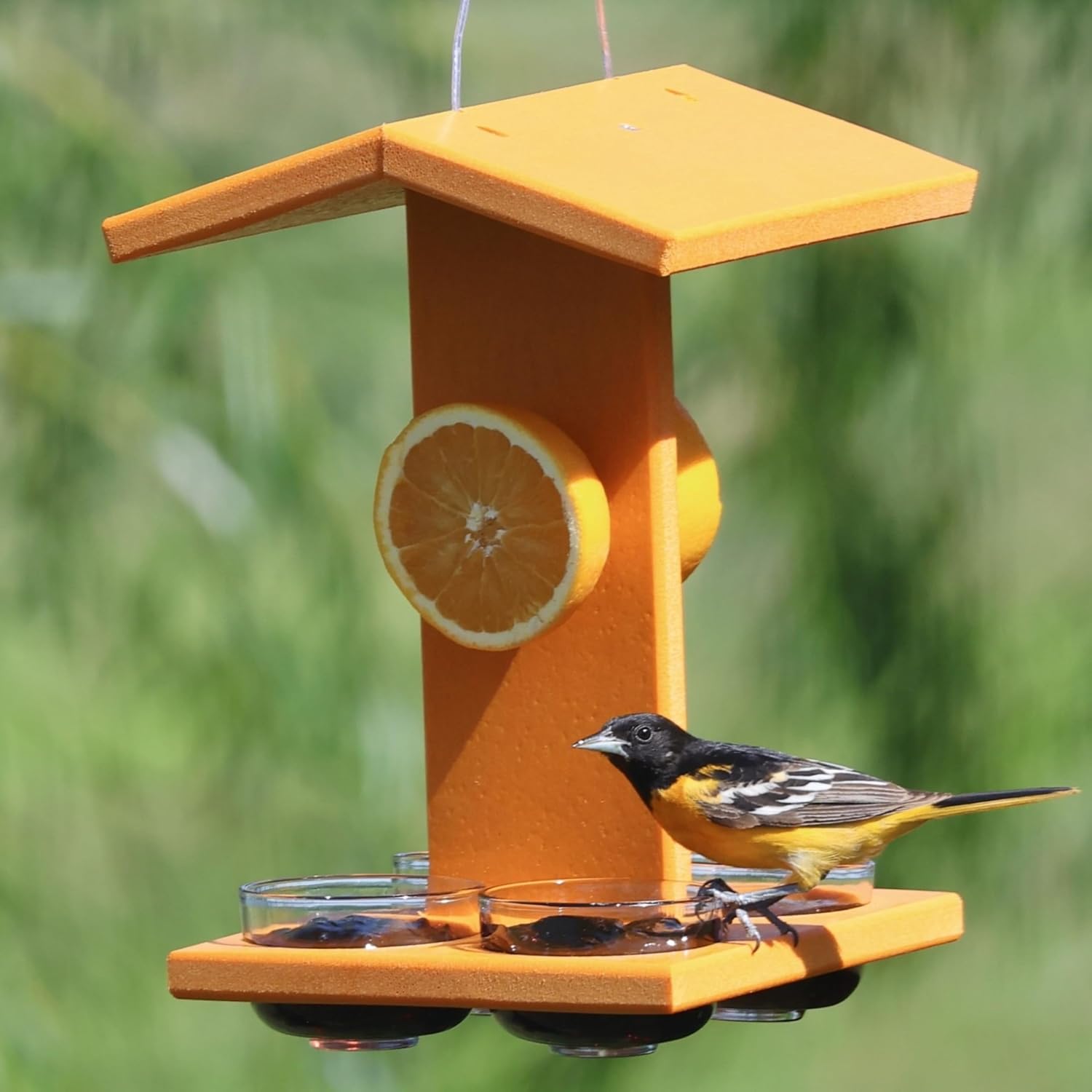 Backyard Essentials Mammoth Oriole Feeder, Recycled Orange