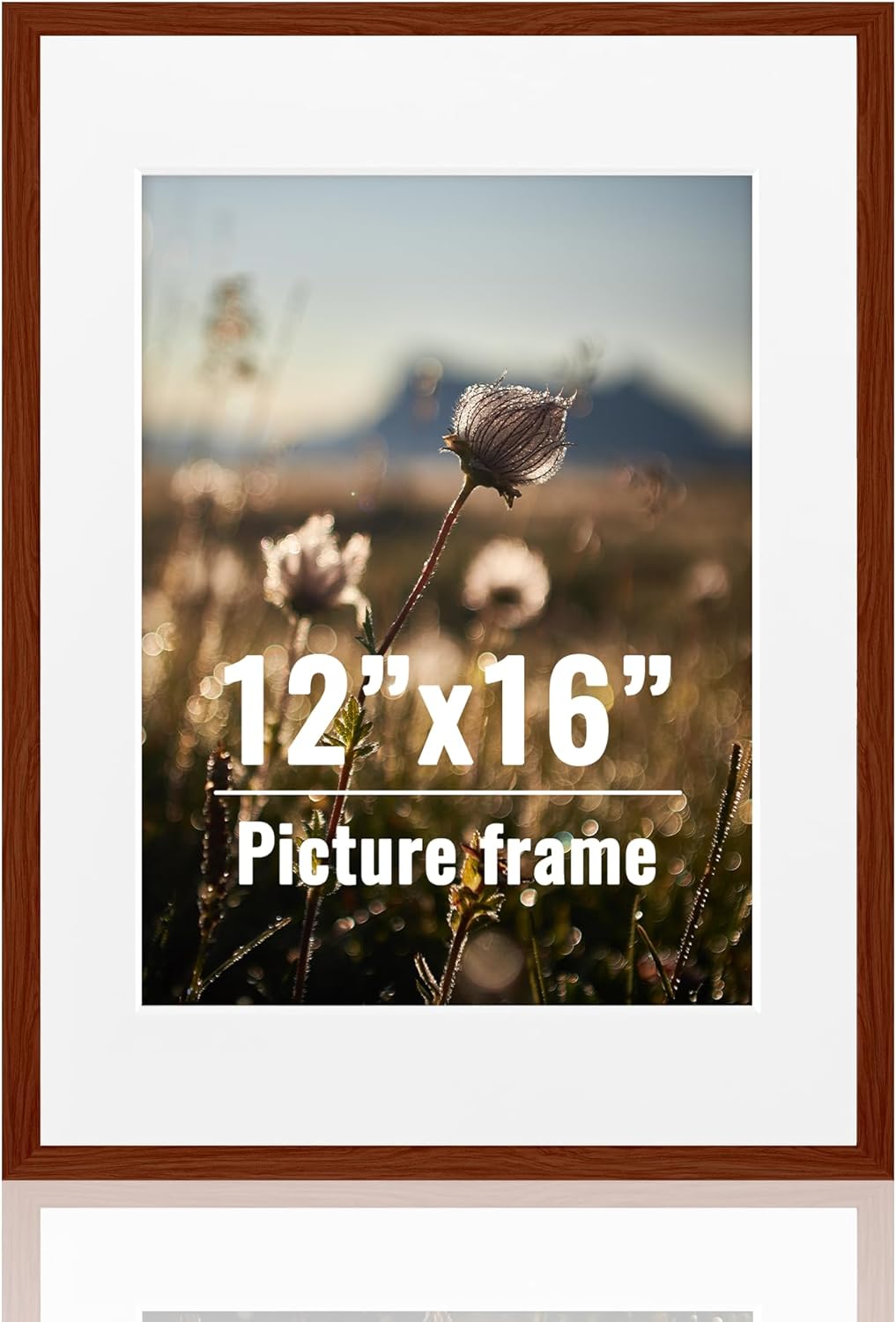 12x16 Brown Metal Picture Frames with Mat - Display 8.5x11 Photo - Acrylic Sheet Covering Wall Versatile Colorful Metal Frames - 12x16 Poster
