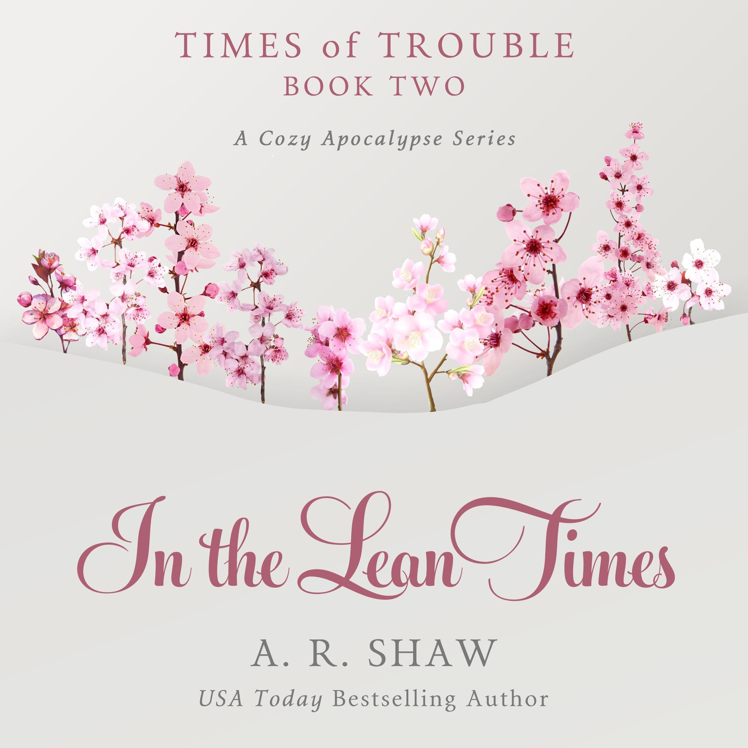 Cover art for In the Lean Times