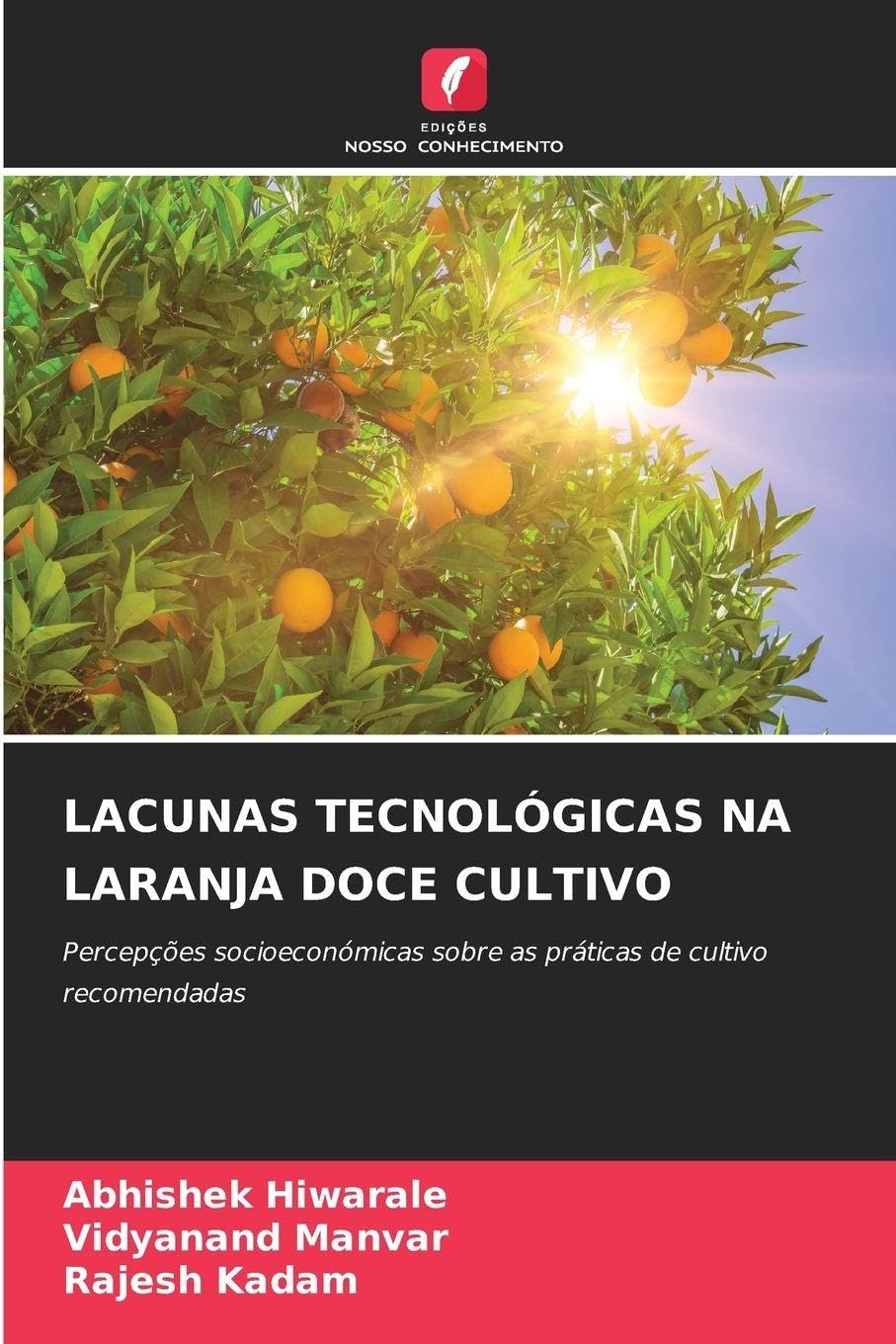 Lacunas Tecnológicas Na Laranja Doce Cultivo: Percepções socioeconómicas sobre as práticas de cultivo recomendadas