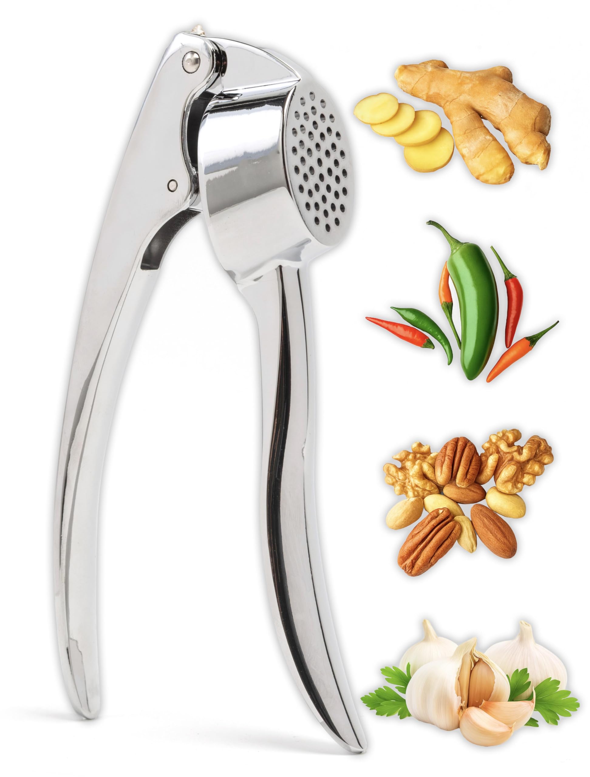 IPEA Presse-ail en Acier Inoxydable pour Ail, Gingembre, Piment - Super Solide - Design Élégant - Presse Ail Professionnel de Cuisine pour Presser Noix et Aliments - Simple Nettoyer
