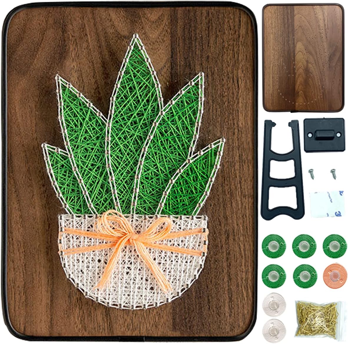 BAZIMA DIY String Art Kit for Beginner,DIY Aloe Potted Craft Kit,Unique Gift,Craft Kit for Holidays