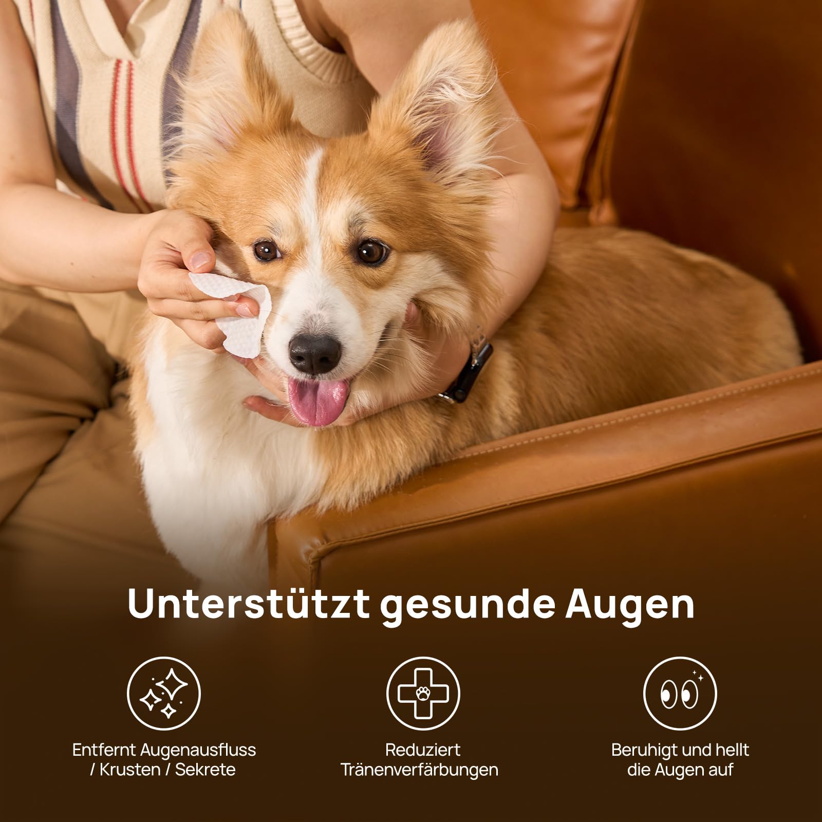 HICC PET Augenpflege-Pads für Hunde und Katzen, Sanfte Augenreinigung von Sekreten, Staub & Rückständen, Ideal für die Augenpflege von Welpen & Kätzchen, 100 Stück