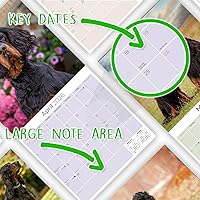 Vista 175 de Razas de Perros 2017