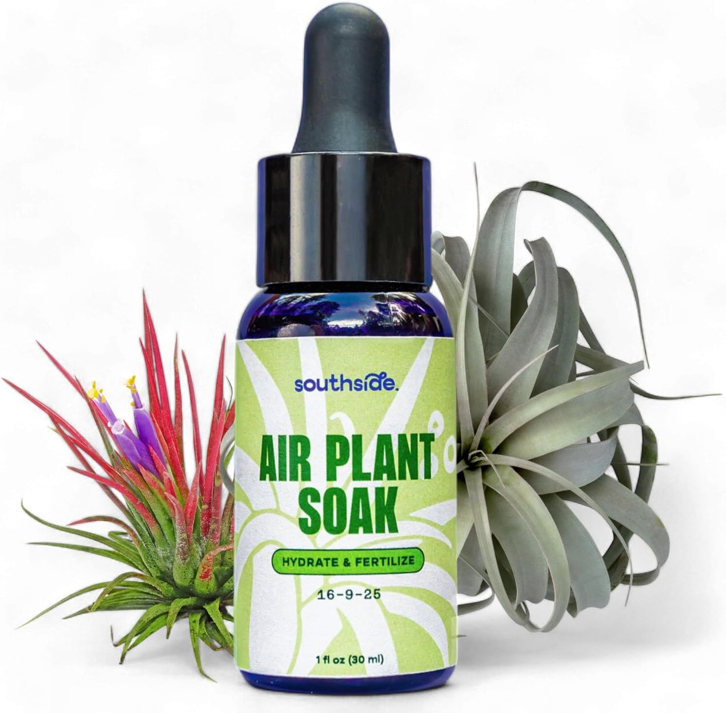 Air Plant Fertilizing Concentrated Soak by Southside Plants - Fertilizer Mist for Houseplants, Weekly Plant Food - Gentle Mist Formula for Miracle Feed & Grow - 1 oz