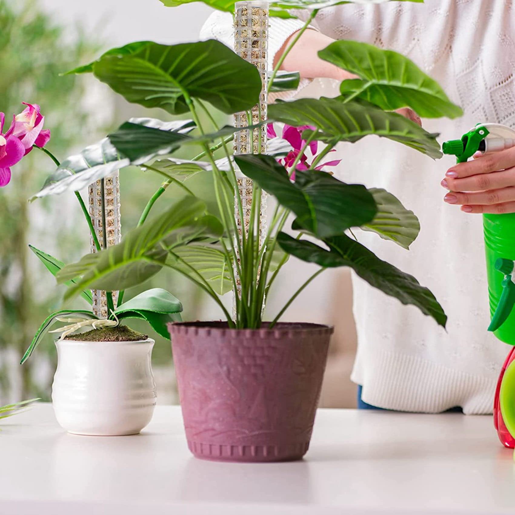 Lot de 24 piquets en fibre de empilables pour plantes Monstera - Support en plastique pour sphaigne
