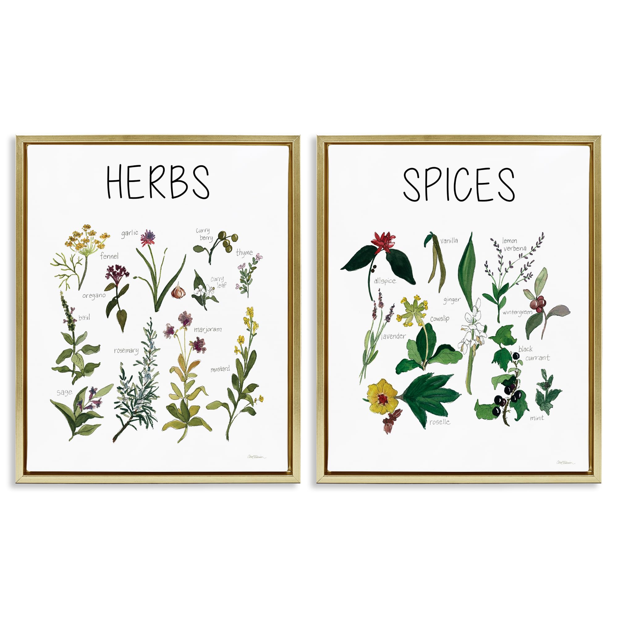 Stupell Industries Metallic Gold (Matte) 'Culinary Herbs & Spices', 2Pc Floating Frame Art Set 2, Gold, 25 X 31 Inches, Easy To Hang And Sturdy, Made In Usa, By Carol Robinson