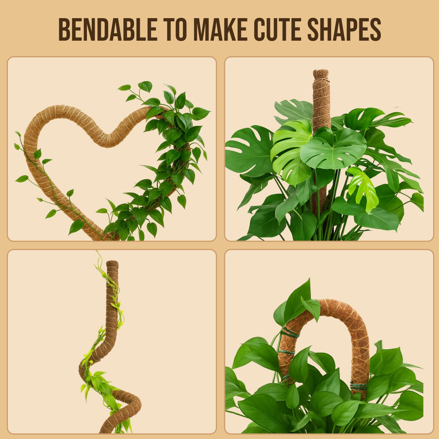 Craft911 Moss Pole - Monstera Support -6