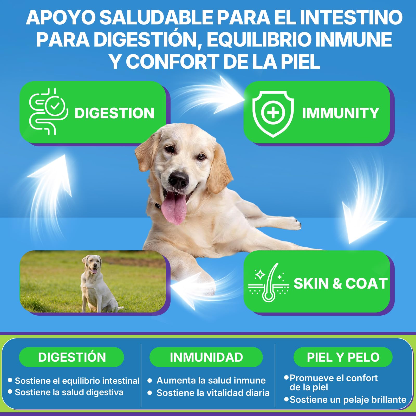 Probióticos para Perros, Prebióticos para la Salud Intestinal – Apoya la Salud Digestiva y la Absorción de Nutrientes–200 Bocaditos Blandos que Apoyan la Salud de la Piel y el Bienestar General