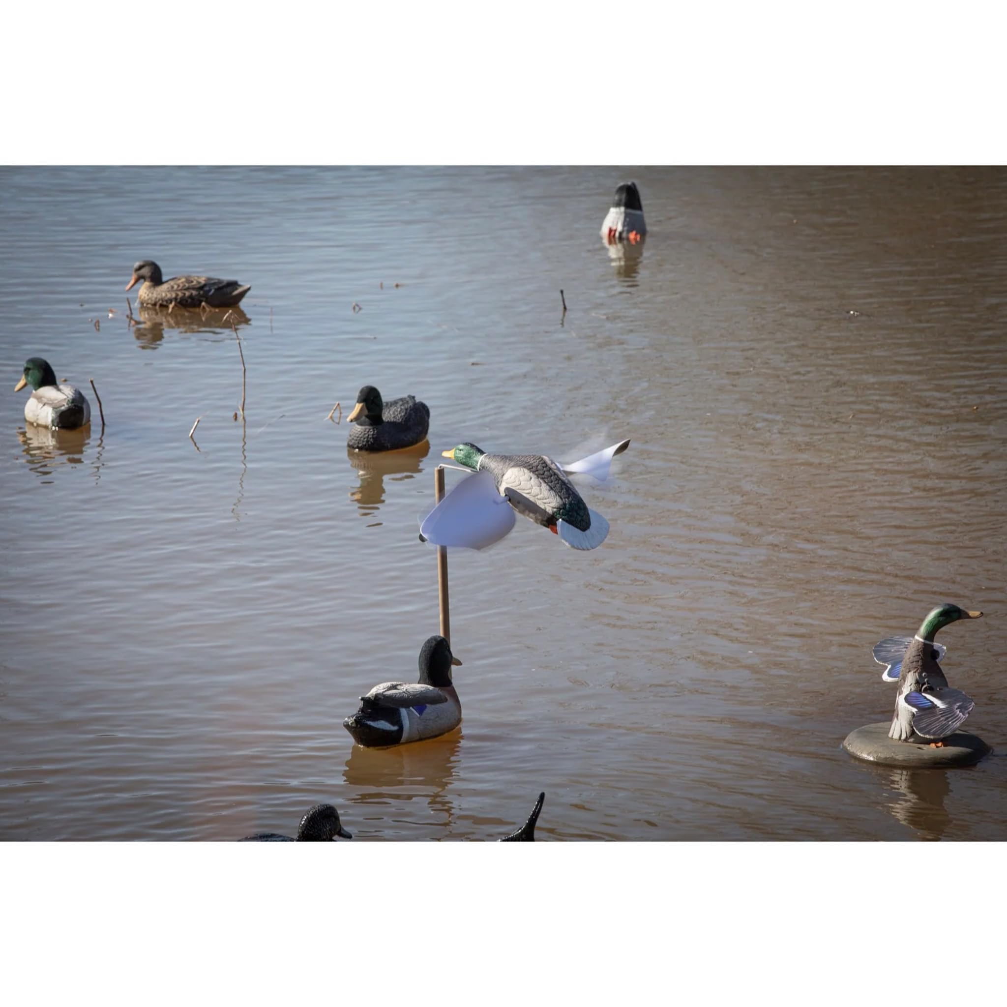 Higdon Outdoors Flasher Flyer Breeze - Señuelo de pato Mallard Drake Motion con alas giratorias activadas por el viento para caza de aves acuáticas, diseño ultraligero que imita el movimiento silbante