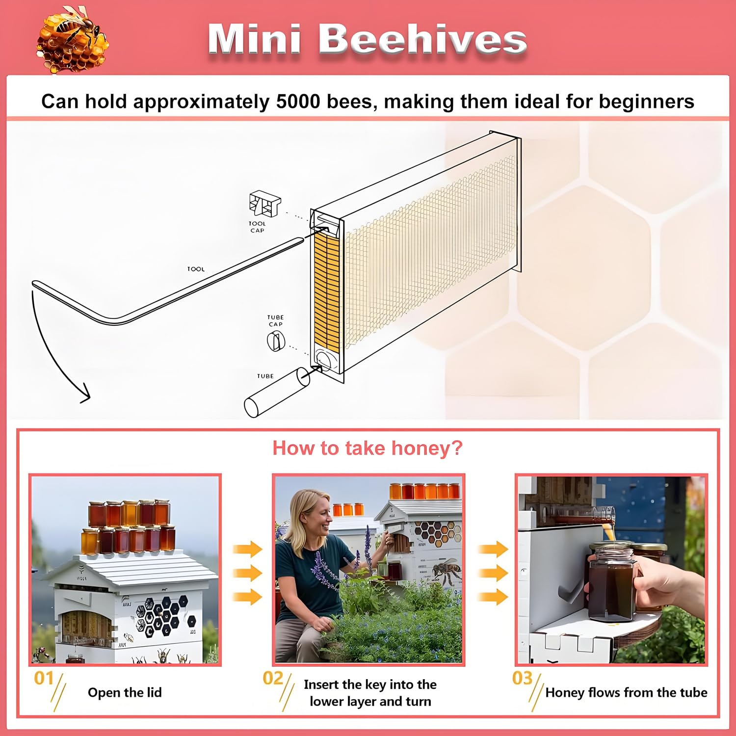 Kit de démarrage de ruche en bois auto-fluide avec fenêtre d'observation et bec à miel, kit d'apiculture complet pour débutants et amateurs
