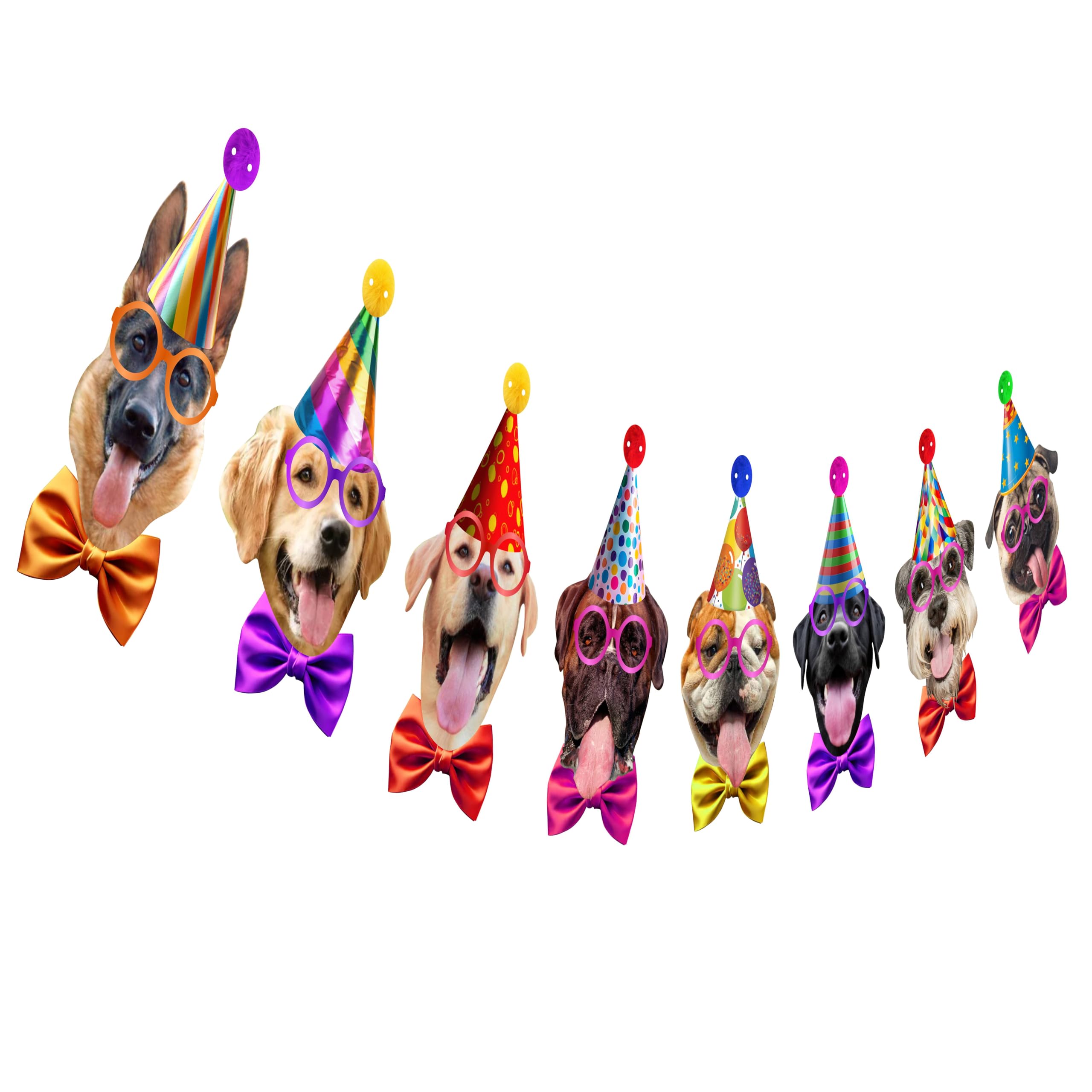 Guirlande de fête pour chien pour réussir votre décoration anniversaire