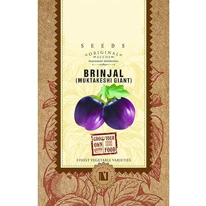 VIBEX XII-170-Brinjal Muktakeshi Giant Seeds