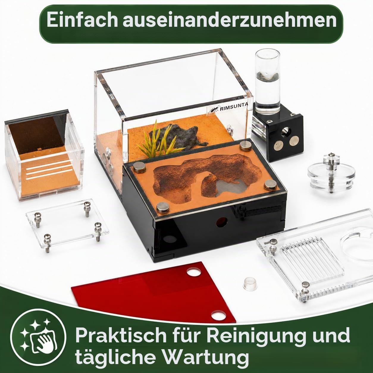 Formicarium – Ameisenfarm Lebensraum für lebende Ameisen & Königin, Erwachsenenpädagogisches Set für Ameisenverhaltensstudien und Lernen