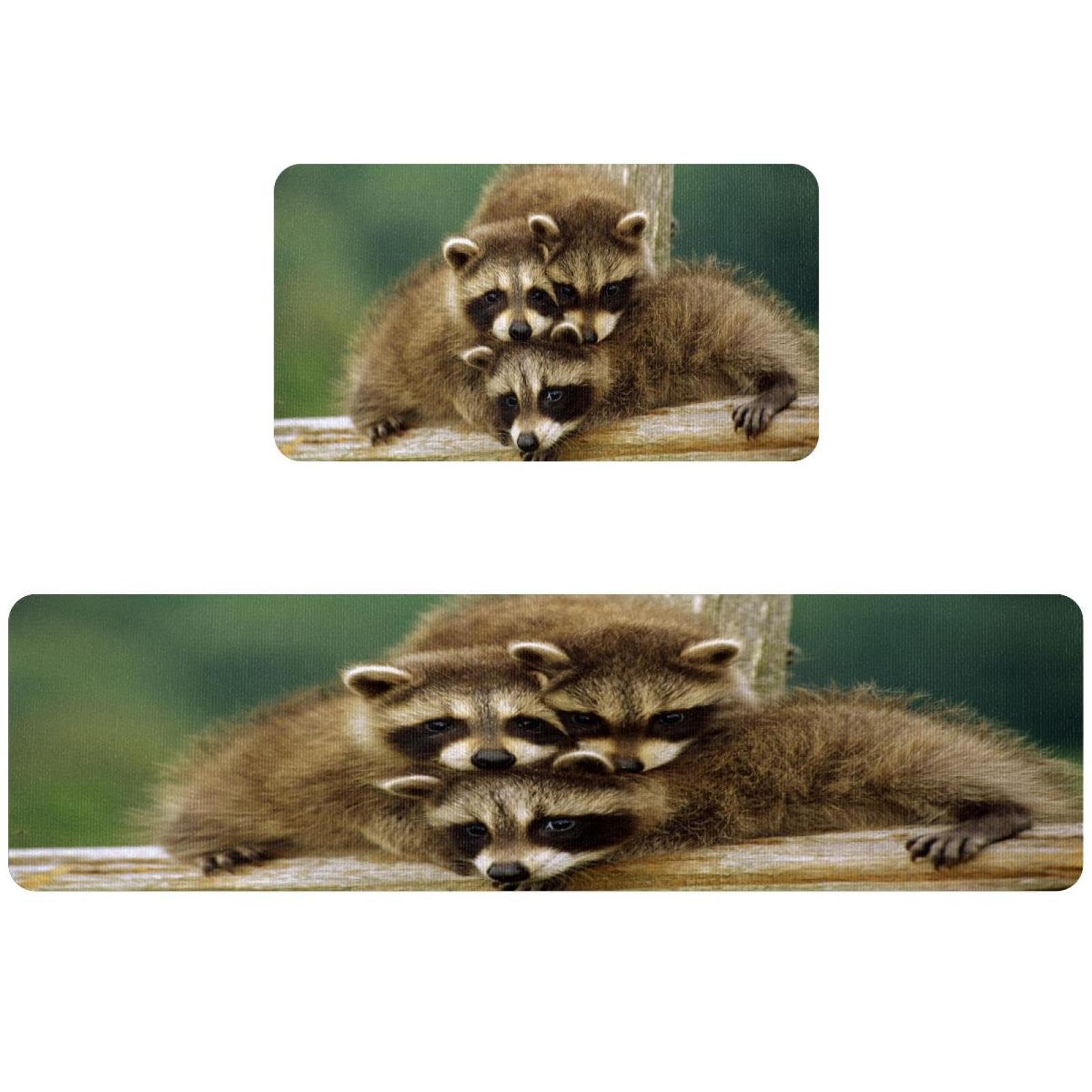 Tapete de cocina de 2 piezas VAPOKF con mapaches alfombra absorbente lavable