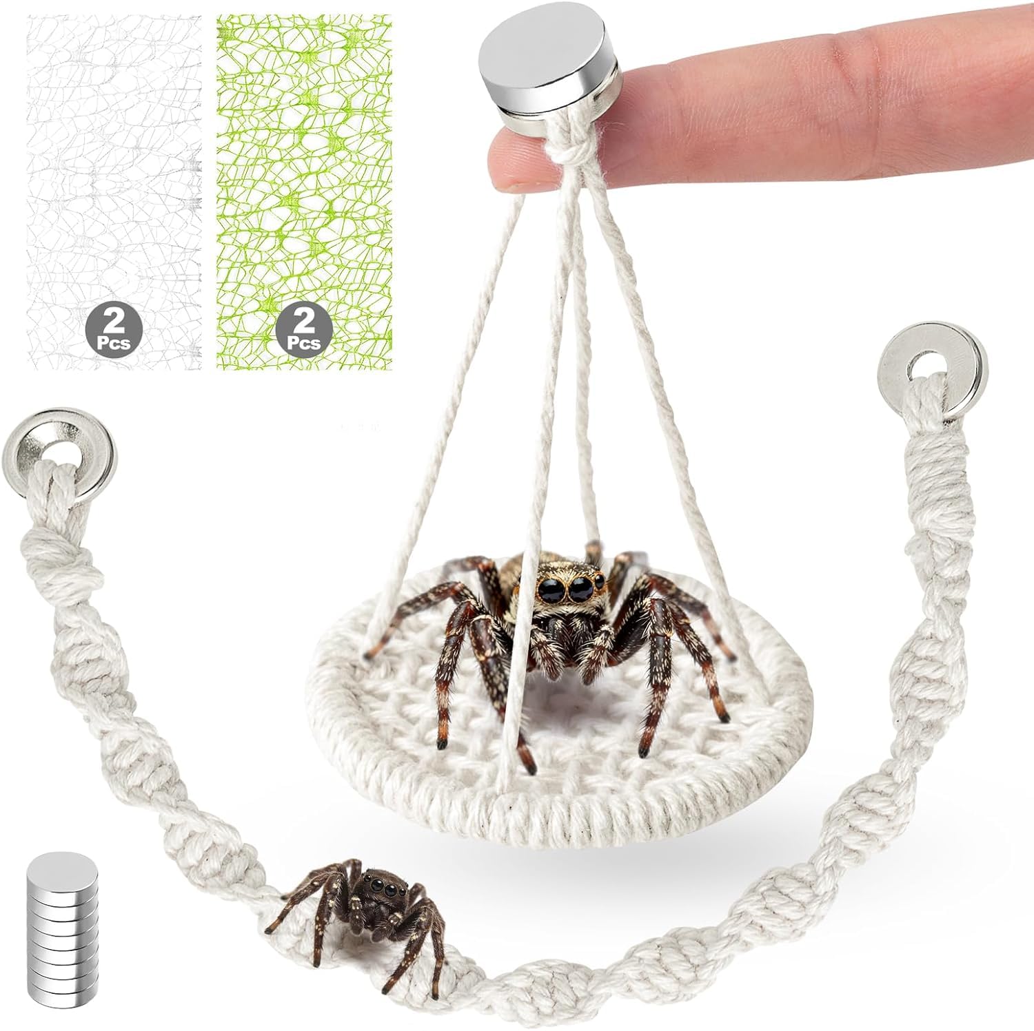 exylosluxek 6 Piece Strong Magnetic Jumping Spider Accessories for Jumping Spider Enclosure, Habitat Climbing Decor Kit – Includes 2 White Spider Webs 2 Green Spider Webs 1 Jumping Spid