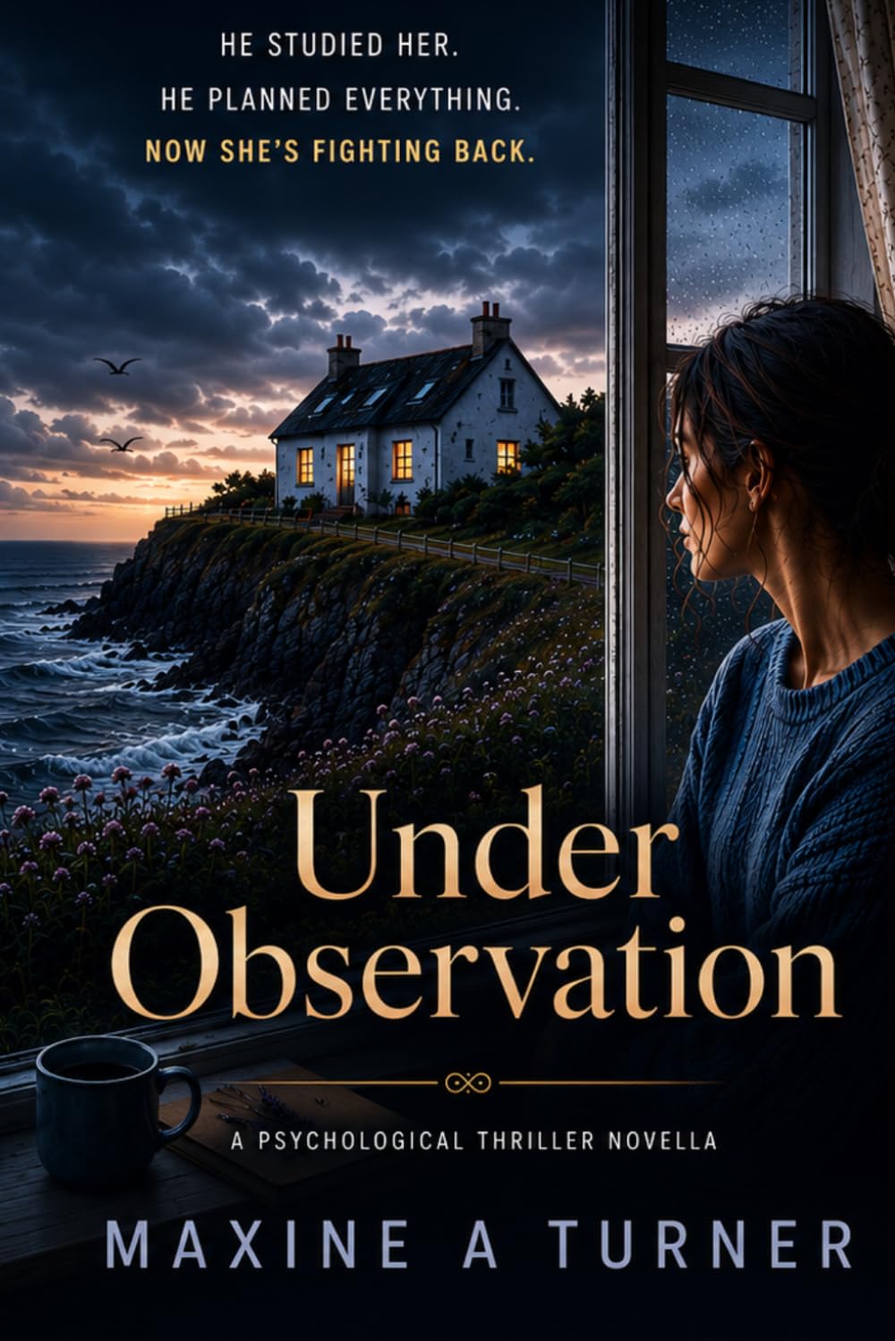 Under Observation: A Psychological Thriller Novella