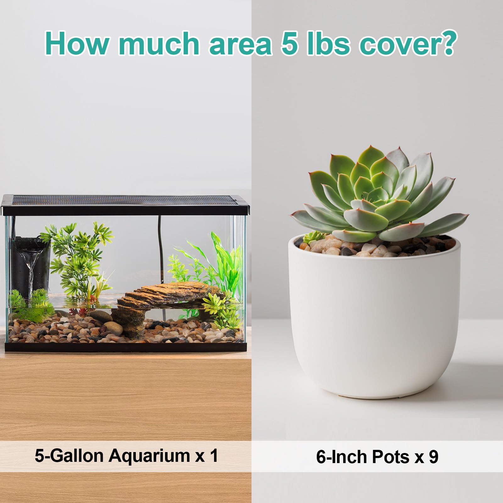 Calofulston Grava de guisante de 5 libras para plantas, guijarros pequeños de 1/5 pulgada para terrario, acuario, pecera, suculentas, jarrones, cactus, colores mixtos