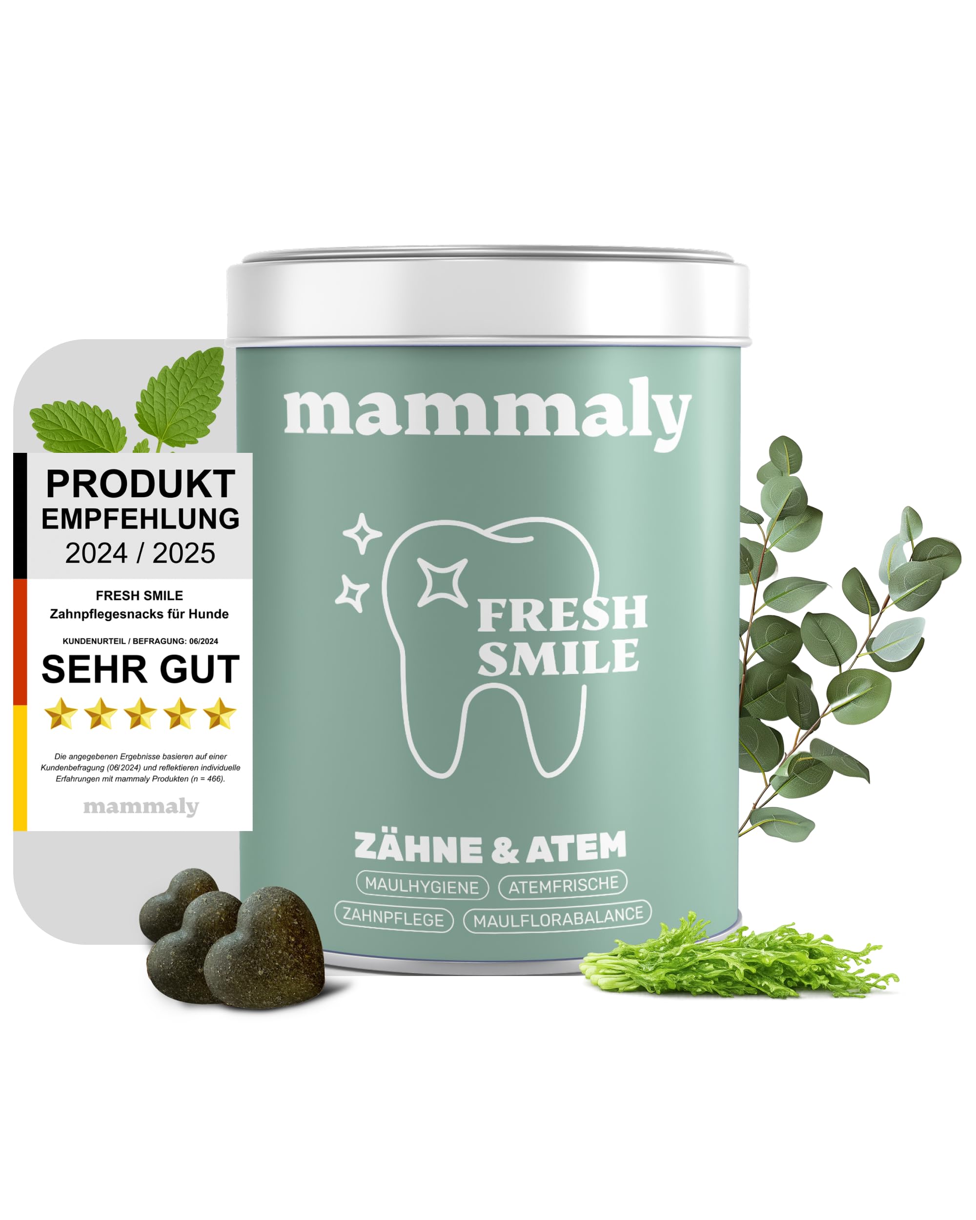 10-in-1 Zahnpflege Leckerli für Hunde - Fresh Smile 60 Snacks (175g) von mammaly - Gegen Mundgeruch, Zahnstein mit Pfefferminz, Seealge, Vitamin C, Petersilie u. v. m. für Maulhygiene, Mundpflege