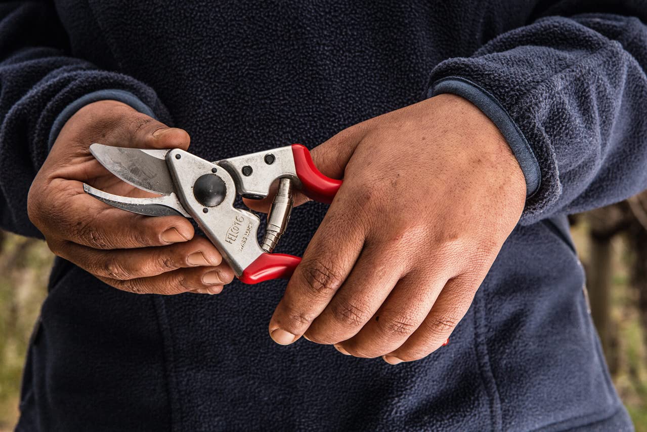 FELCO 16 Linkshänder-Gartenschere mit Lederholster 910+ – Kompaktes Set für Linkshänder, ideal für präzise Arbeiten im Garten
