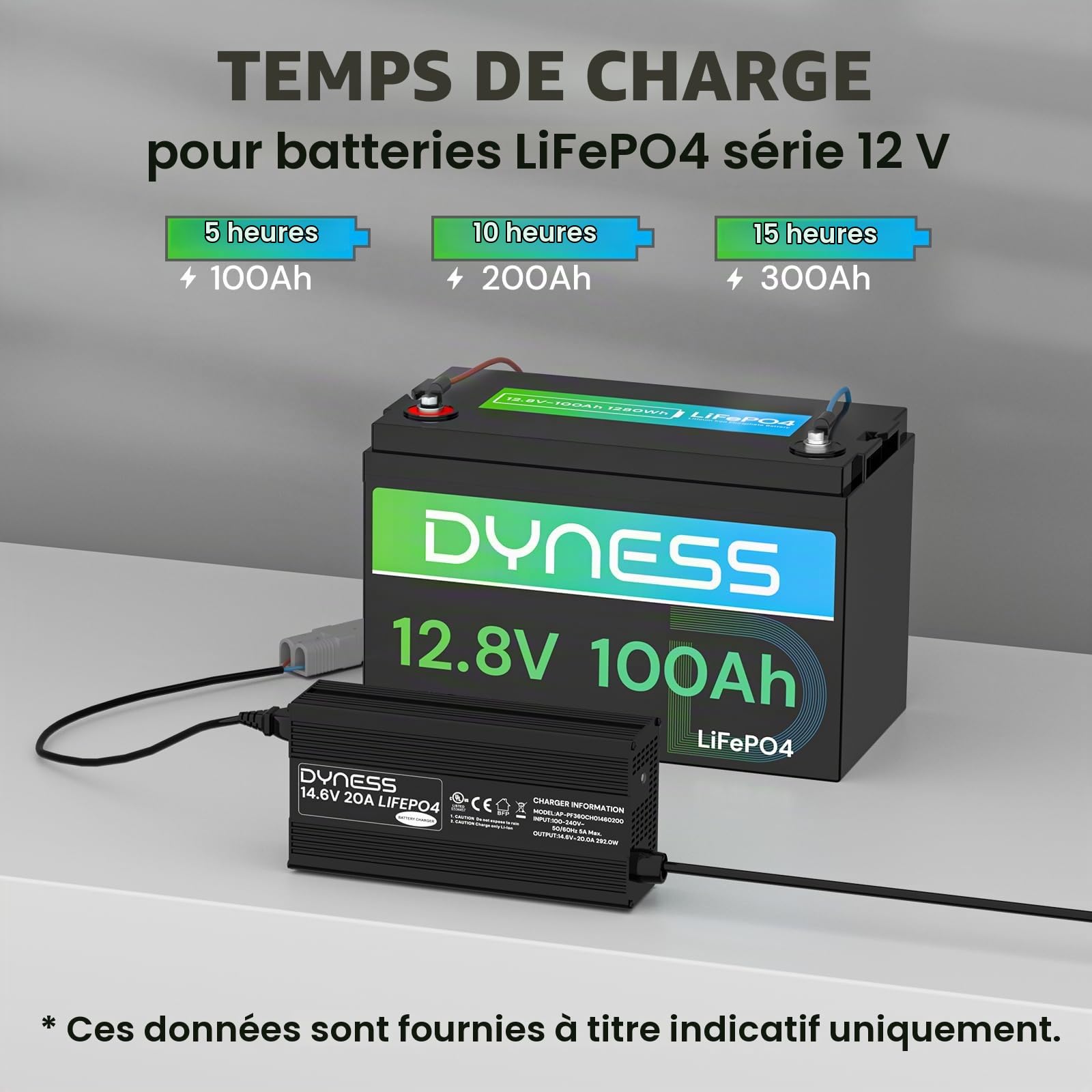 Dyness Chargeur de Batterie LiFePO4 14,6V 20 A pour 12V LiFePO4