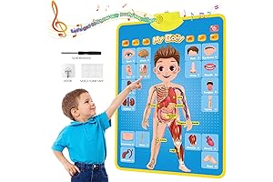 My Body Interactive Educational Poster for Toddlers