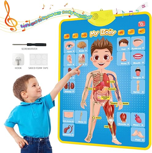 My Body - Póster educativo interactivo para niños pequeños y niños para aprender partes del cuerpo, órganos, músculos y huesos, 16 x 22 pulgadas