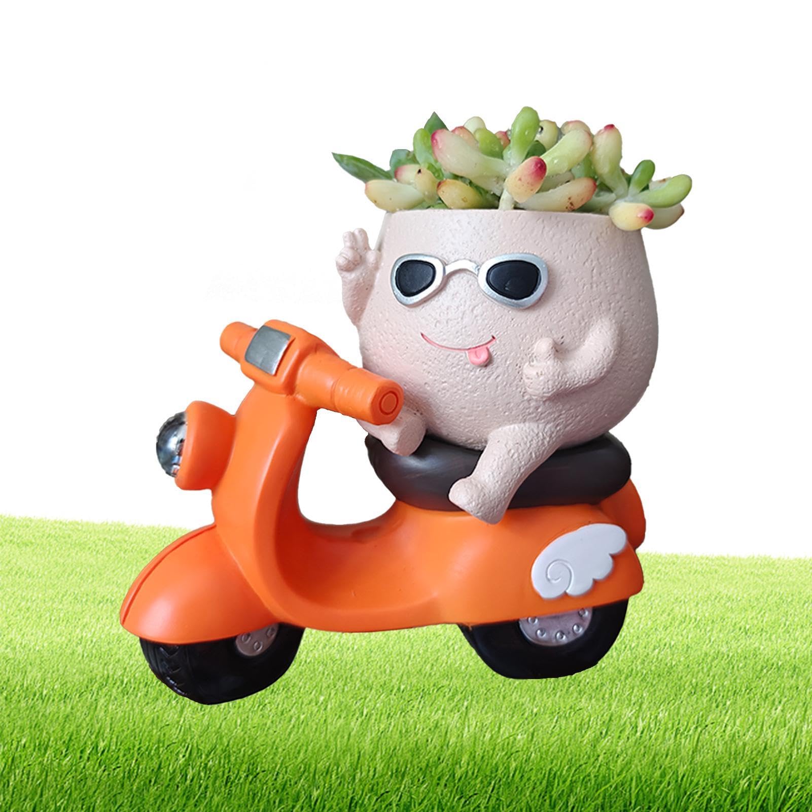 Pot de succulentes décoratives sur Moto, cadeau idéal pour amateurs de plantes