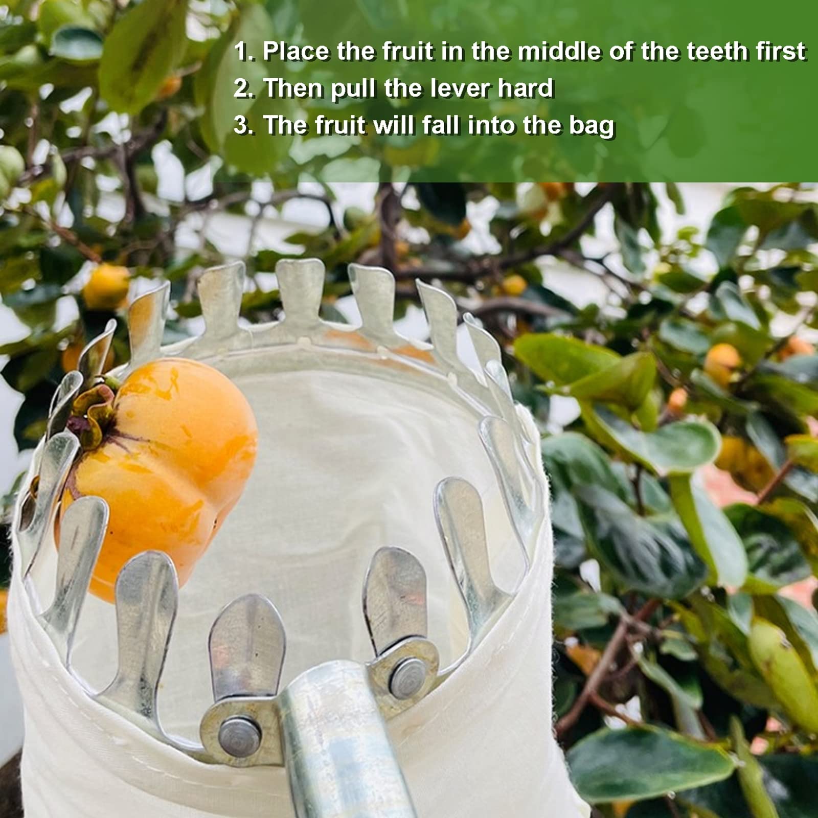 16 ft, Raccoglifrutta Telescopico,Raccogli Frutta Telescopico con Borsa in Cotone, Raccoglitore Frutta Extra Lungo per La Raccolta di Mele Arance Limoni Pere