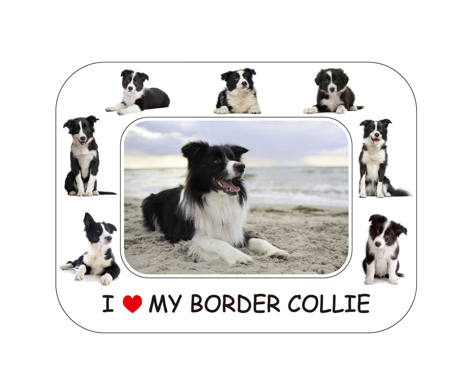 FRIDGE MAGNET Border Collie Gift - Beautiful 8" x 6" Magnetic Photo Frame/Flexible